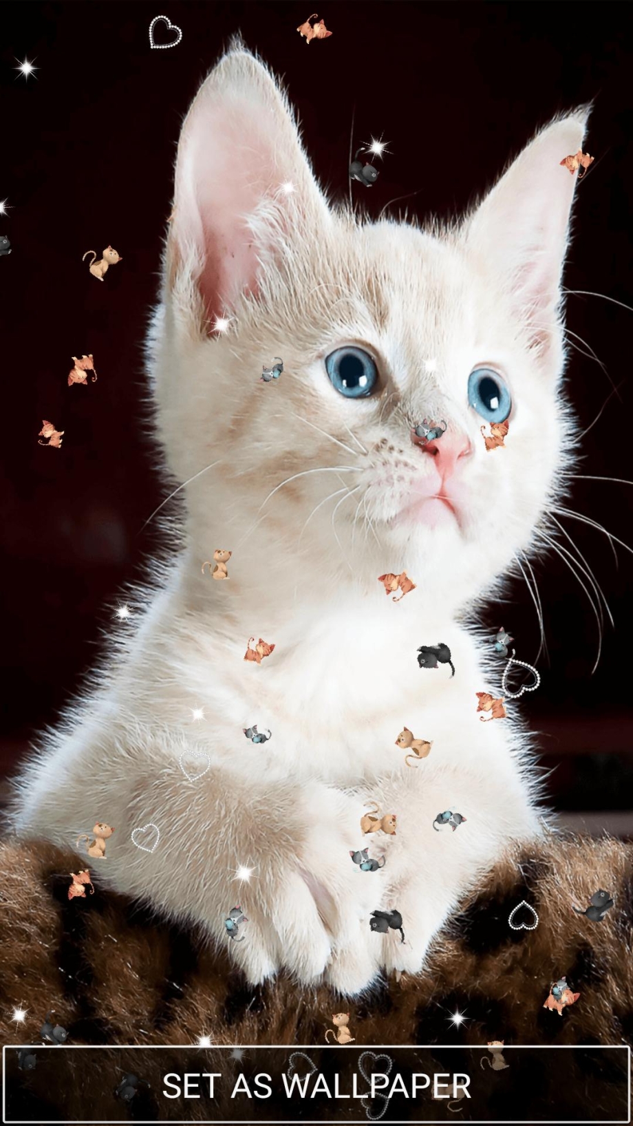 Живые котята