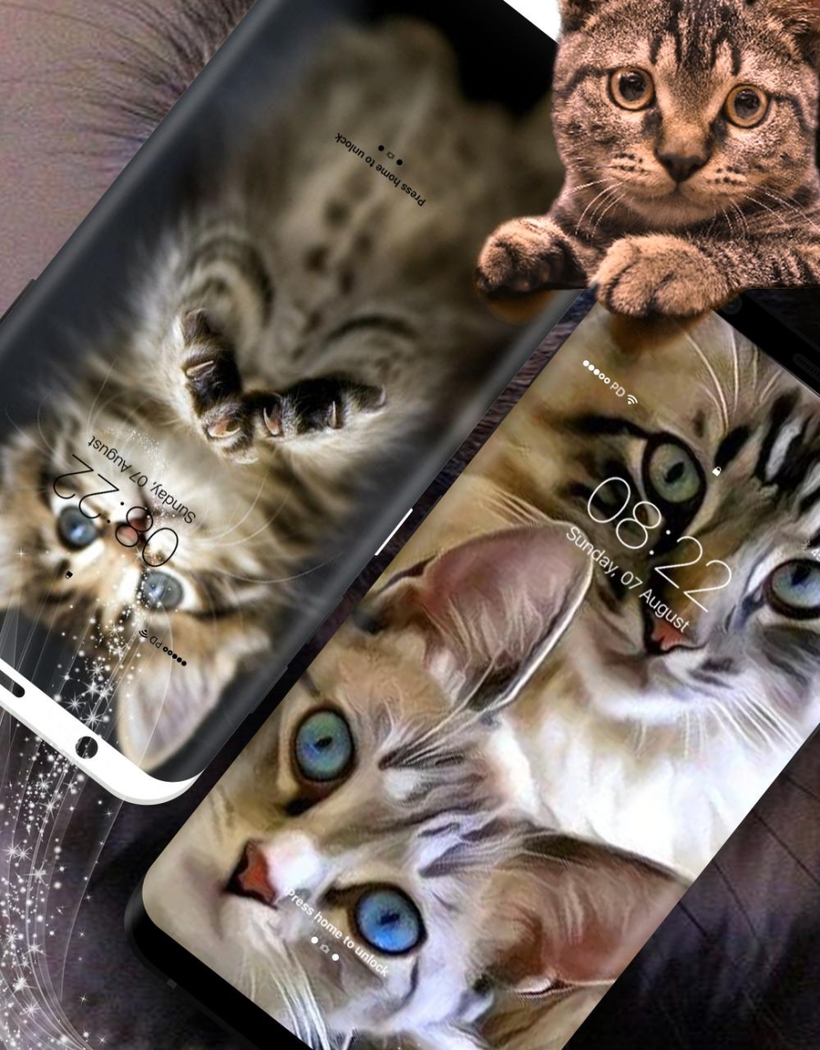 Живых котов