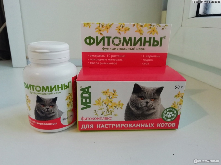 Витамины для кошек для набора веса