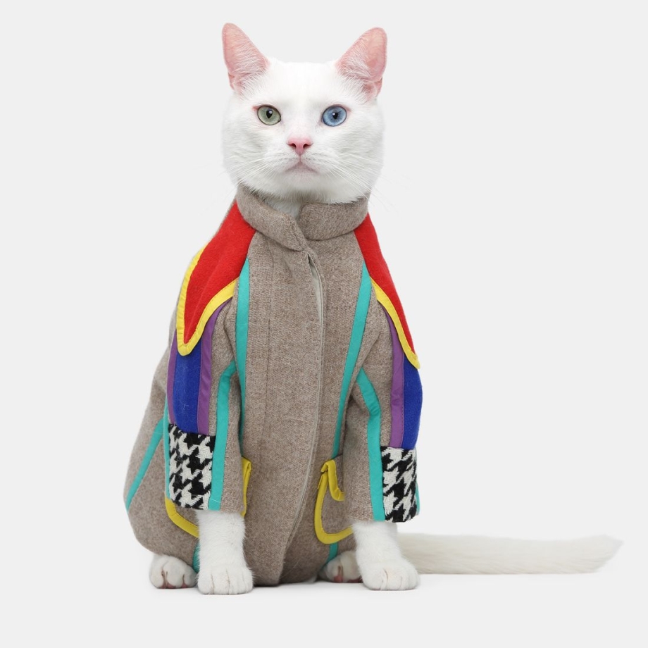 Стильная кошка