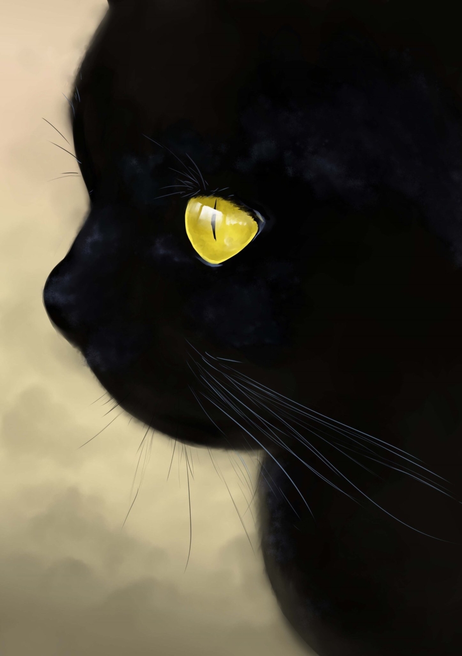 Чёрные коты с жёлтыми глазами