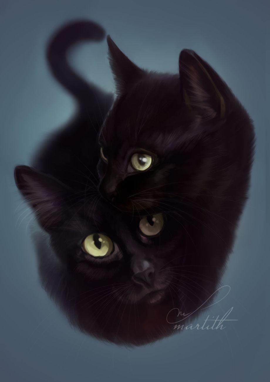 Дерзкая черная кошка