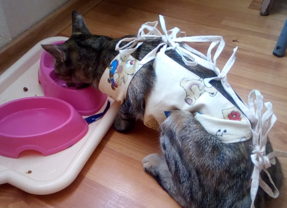 Защитный воротник Kruuse Buster clic Collar 15 см
