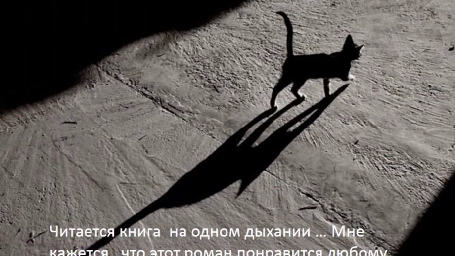 Кот уходит в даль