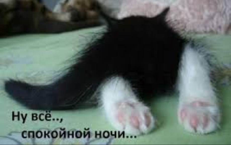 Кот со смешными лапами