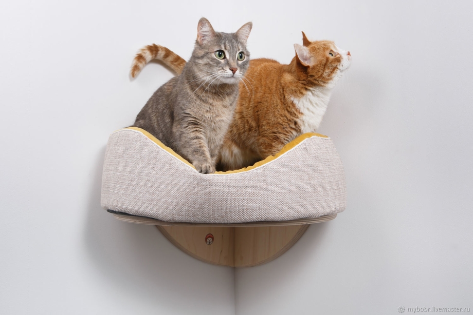 Лежанка для кошки с котятами