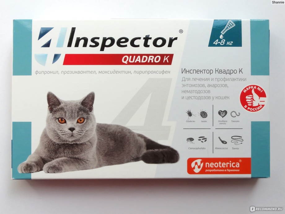 Inspector Quadro к ЭКОПРОМ капли на холку, для кошек от 4 до 8 кг