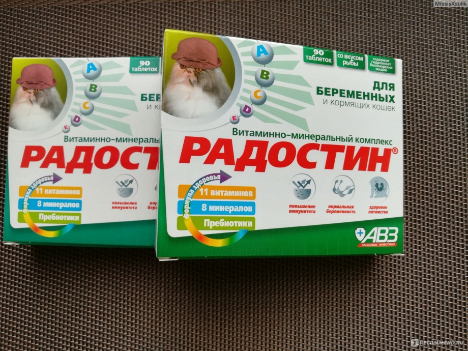 Витамины Радостин для беременных кошек
