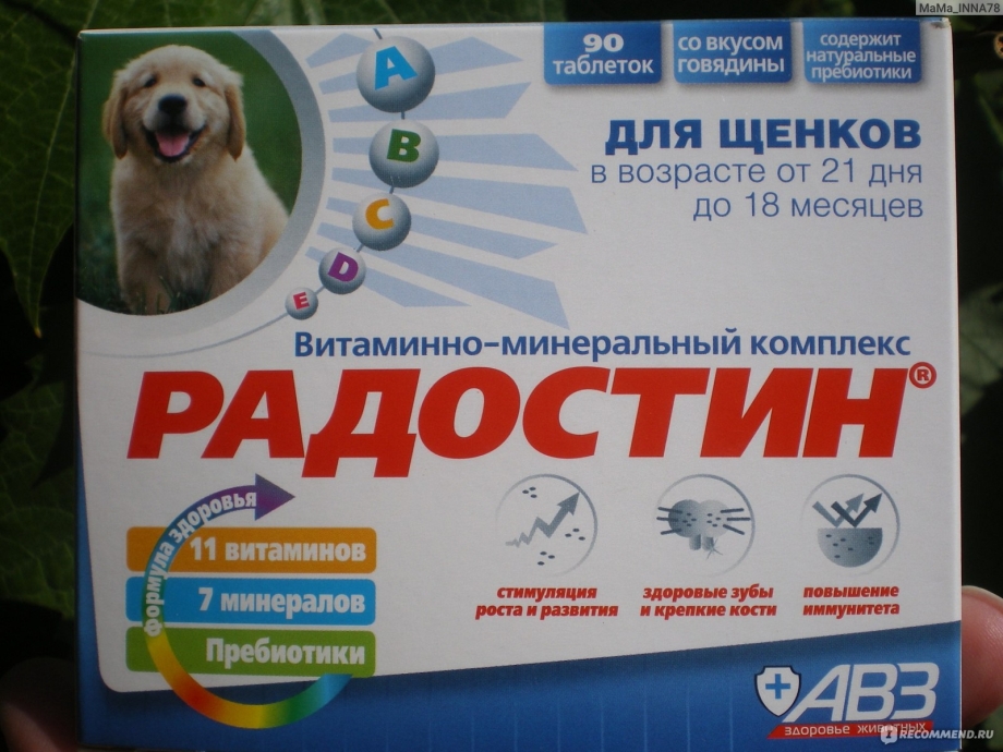 Витаминно-минеральный комплекс АВЗ Радостин доктор для птиц
