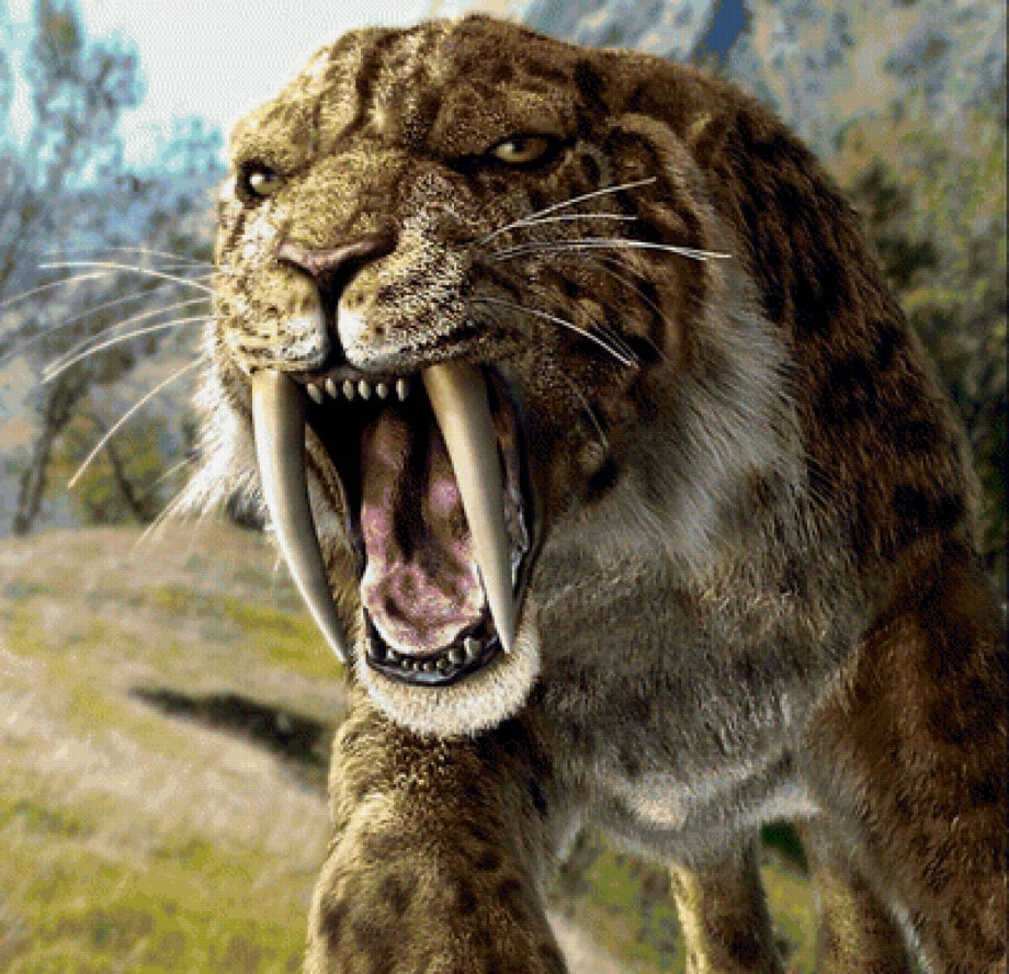 Prionailurus bengalensis