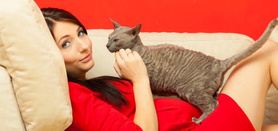 Беременные котики
