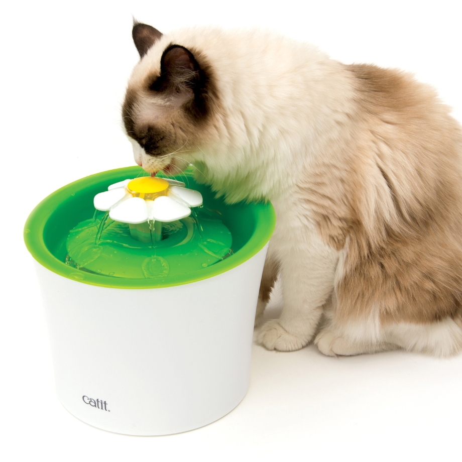 Hagen Catit senses 2.0