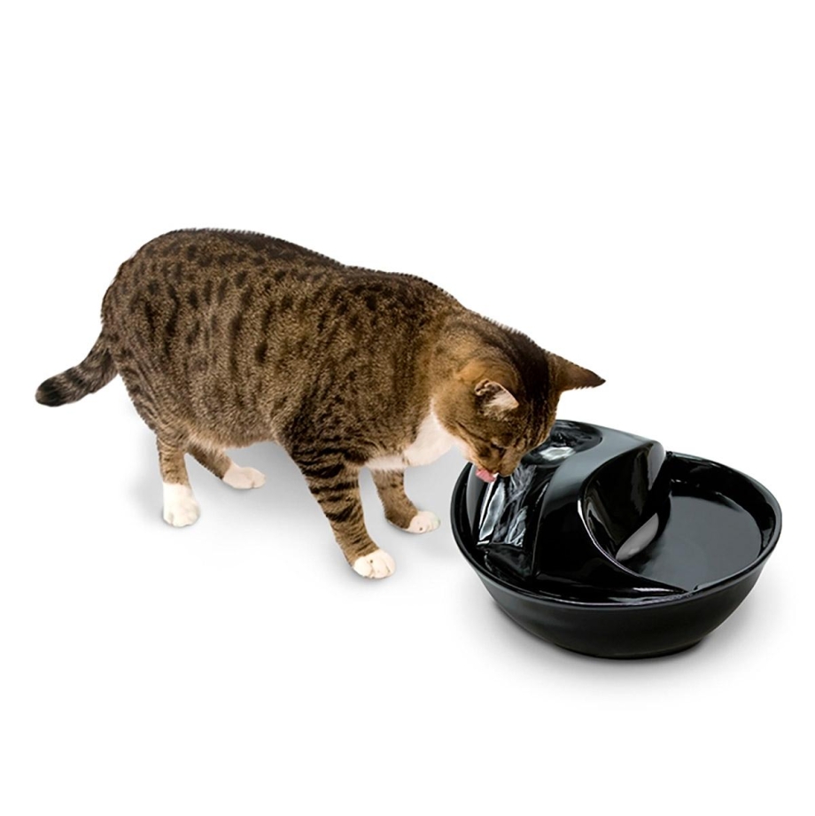 Поилка Pioneer Pet Raindrop