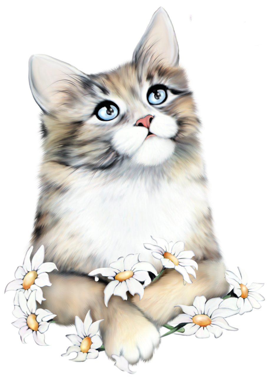 Мультяшные кошки