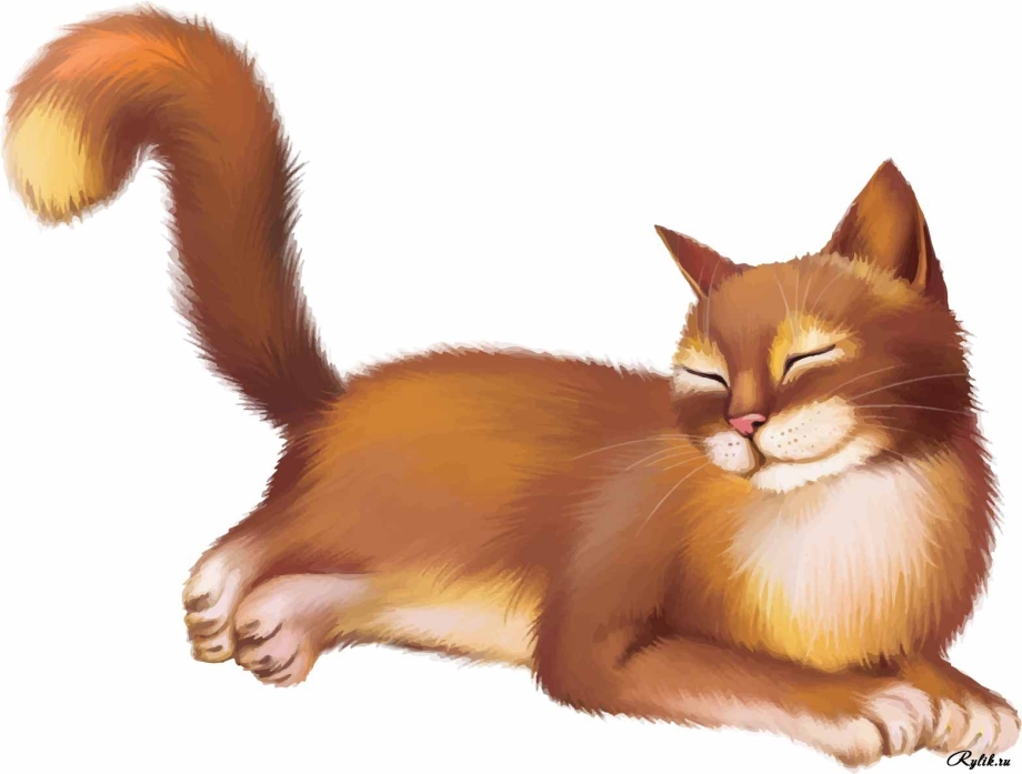 Кошка клипарт на прозрачном фоне