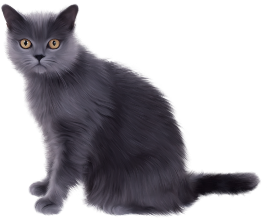 Шартрез британский короткошёрстная зелыкктоимость