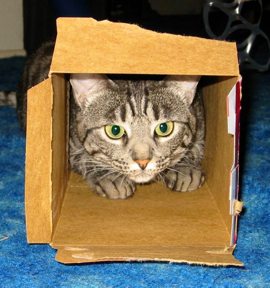 Коробка для кошки