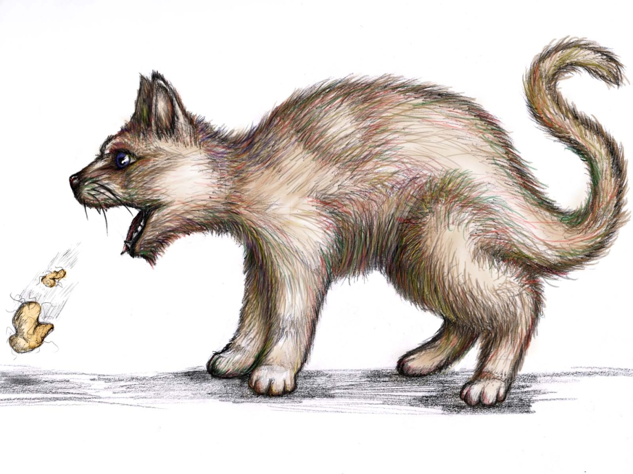 Кот рыгает