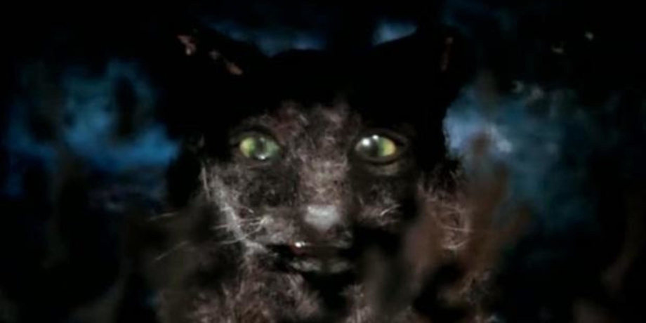Кошка которая гуляла сама по себе 1988