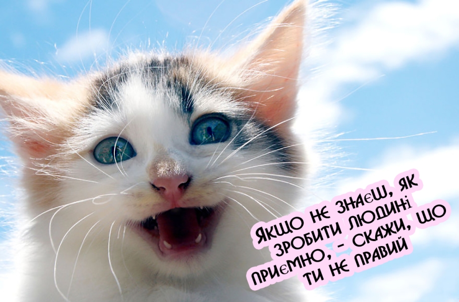 Кот улыбается