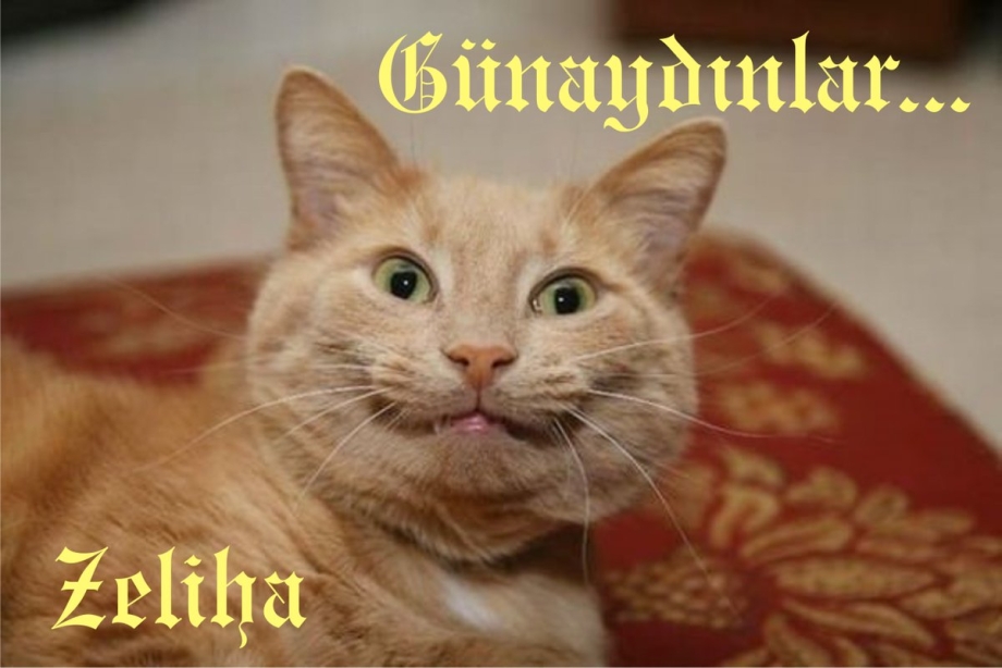 Рыжий кот улыбака