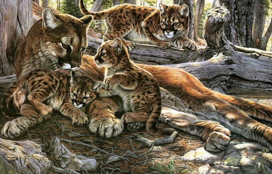 Древние Дикие кошки