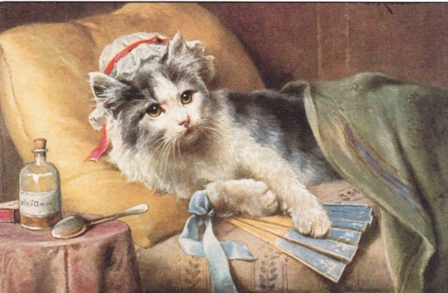 Кошка болеет