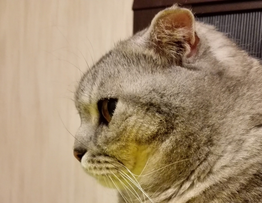 Нос британца