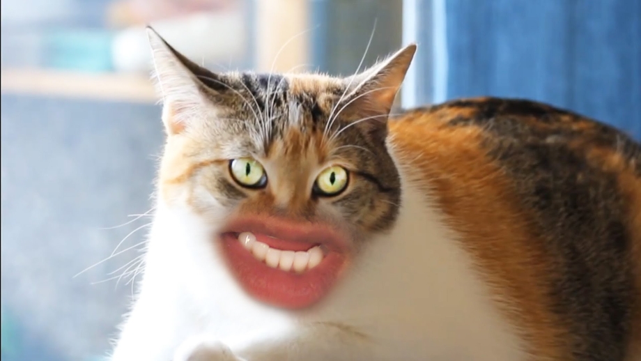 УГАРНЫЙ кот