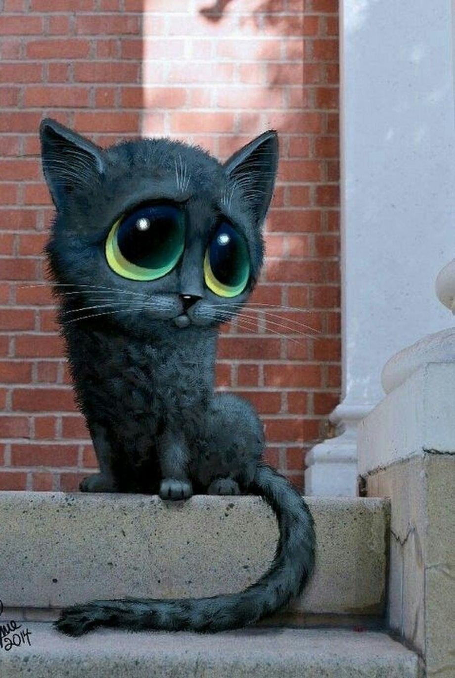 Котик с большими глазами