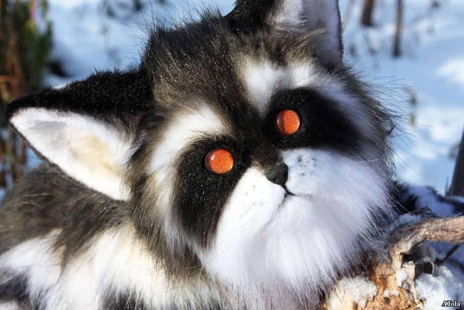 Енотовидная кошка