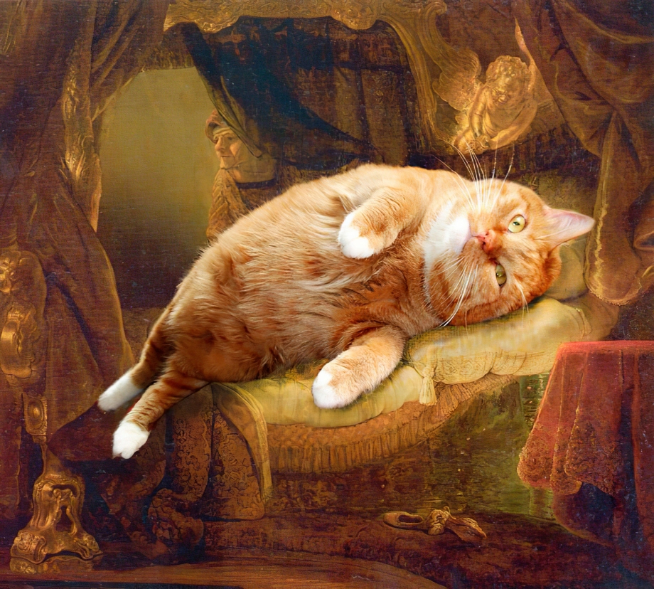 Светлана Петрова и кот Заратустра (FATCATART)
