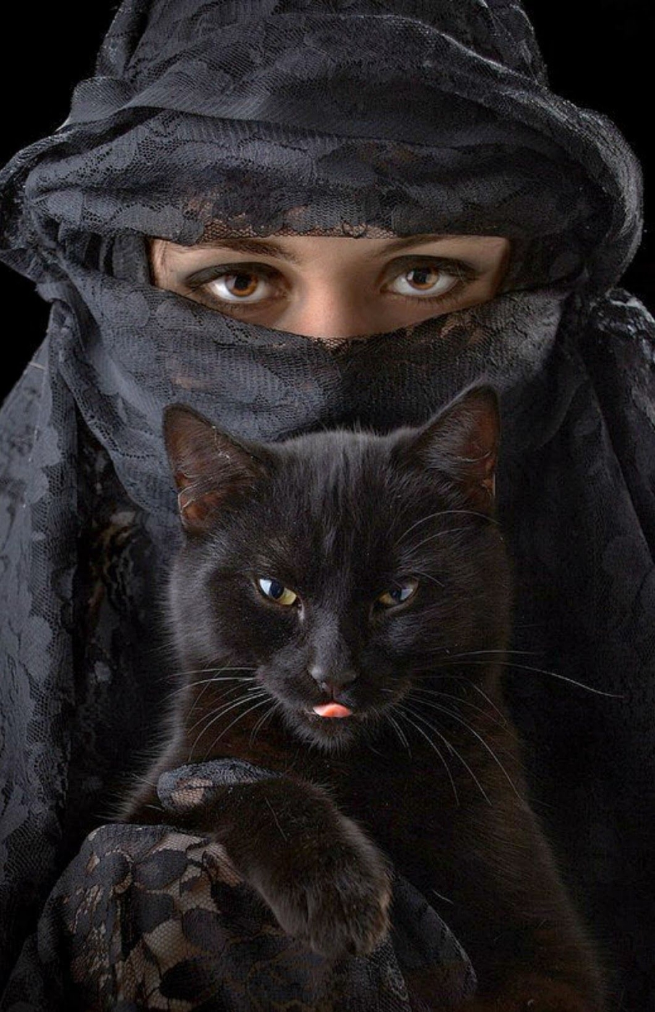 Черная кошка ведьмы