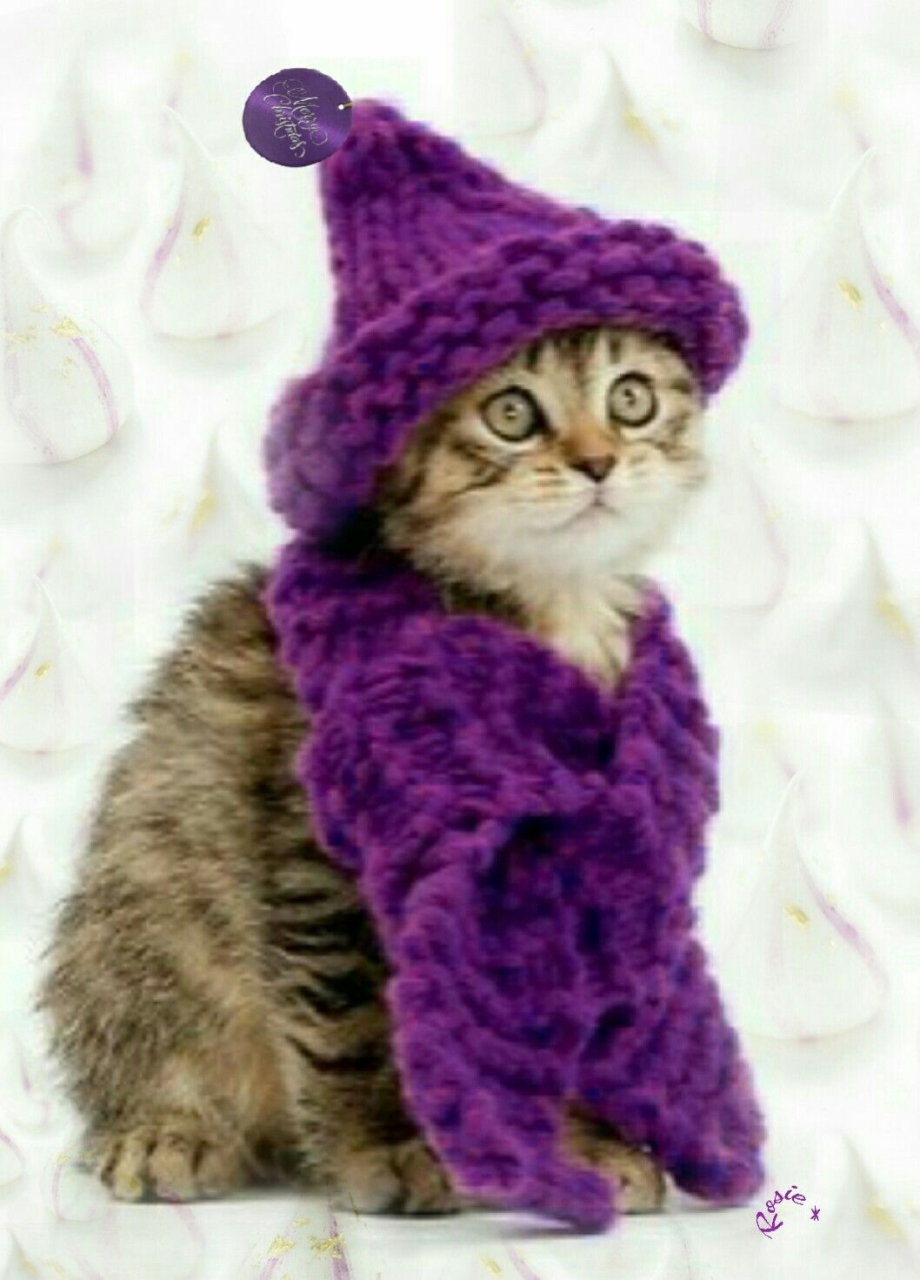 Фиолетовая кошка
