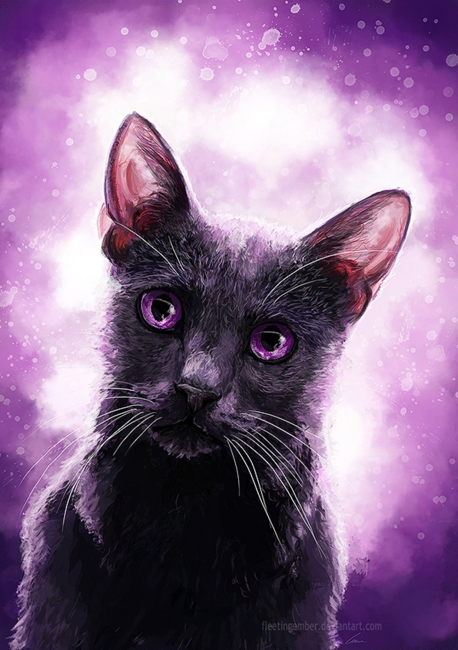 Кошка с фиолетовыми глазами