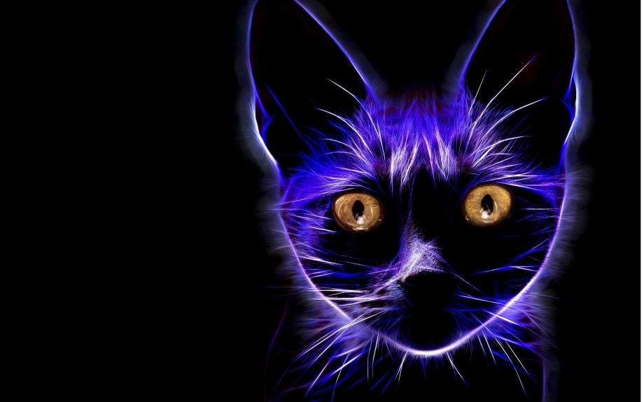 Неоновая кошка