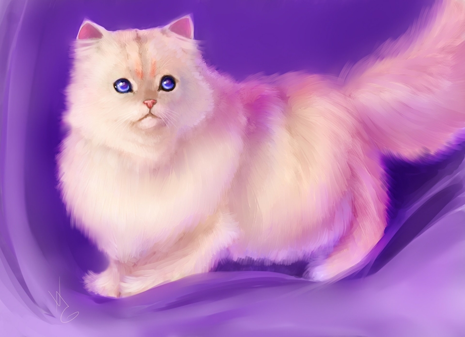 Кошка с сиреневыми глазами