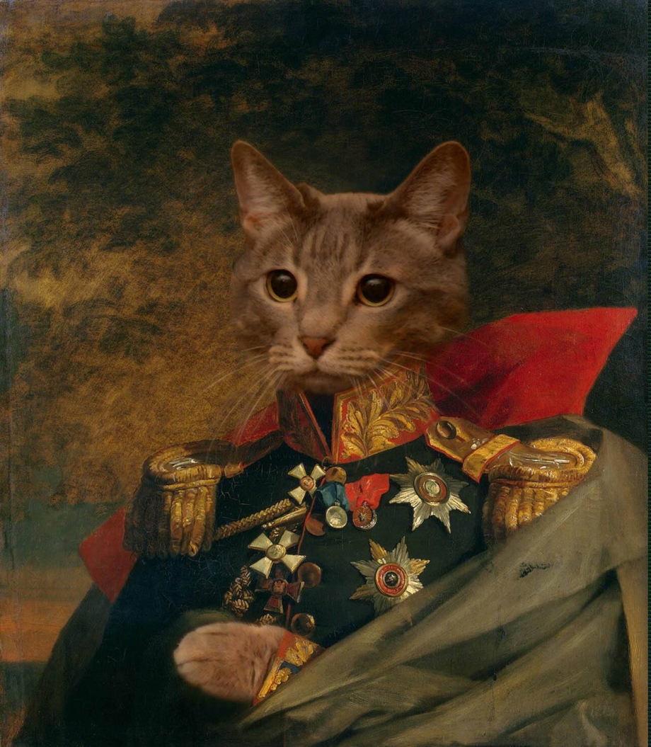 Генеральский кот