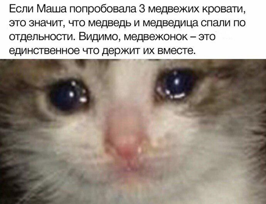 Кот со слезами Мем