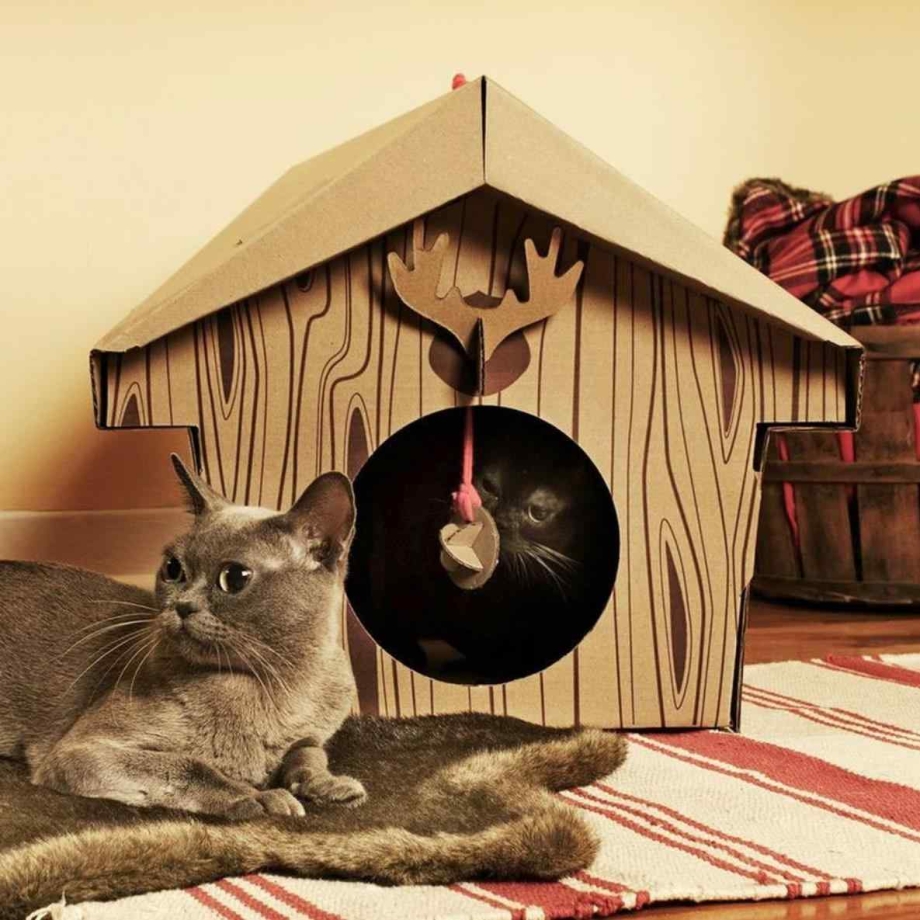 Дом для кошки