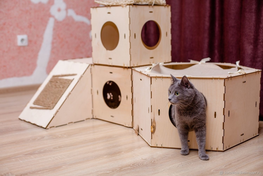 Домик для кошки Polly
