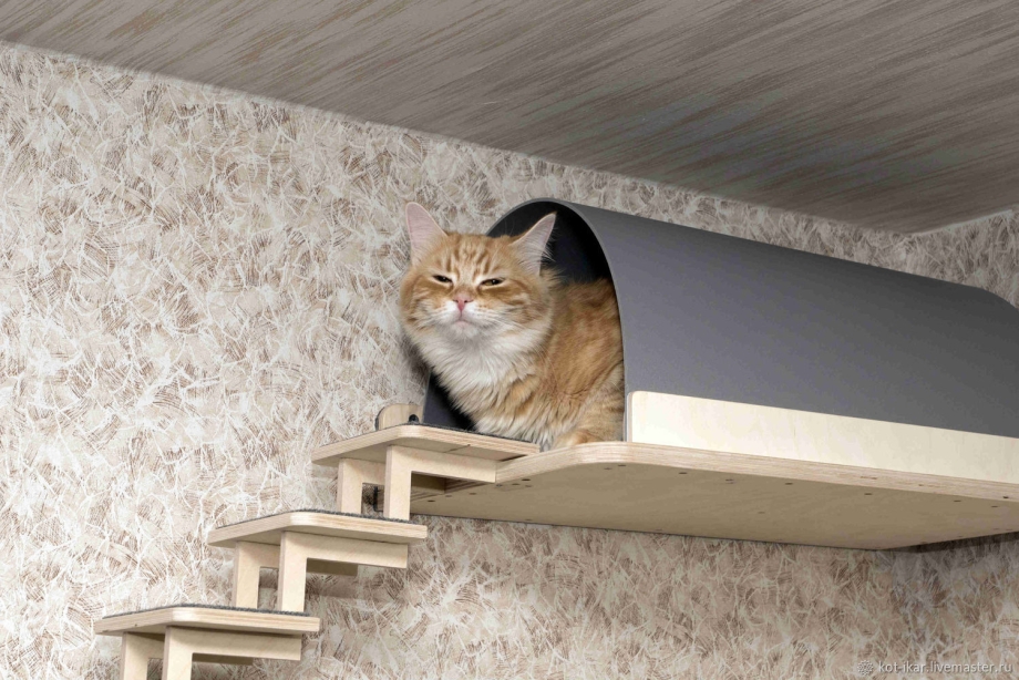 Настенный комплекс для кошек