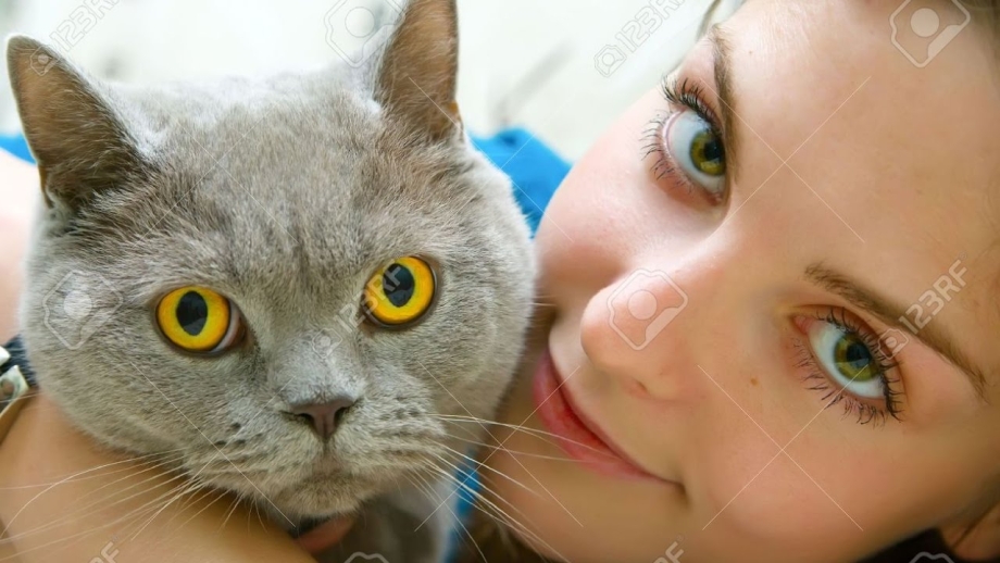 Девушка с британской кошкой
