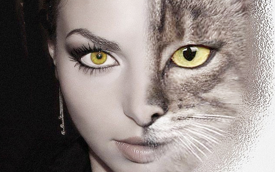 Девушка кошка