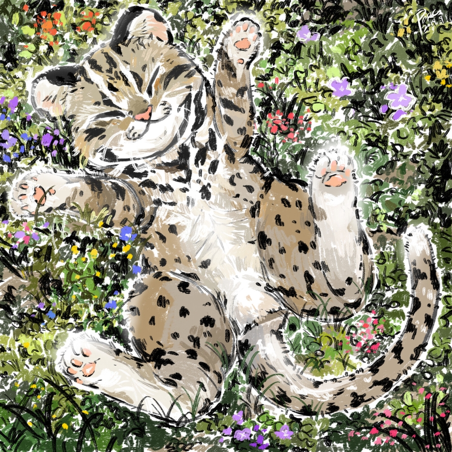 Закажи 2 кошки и леопард