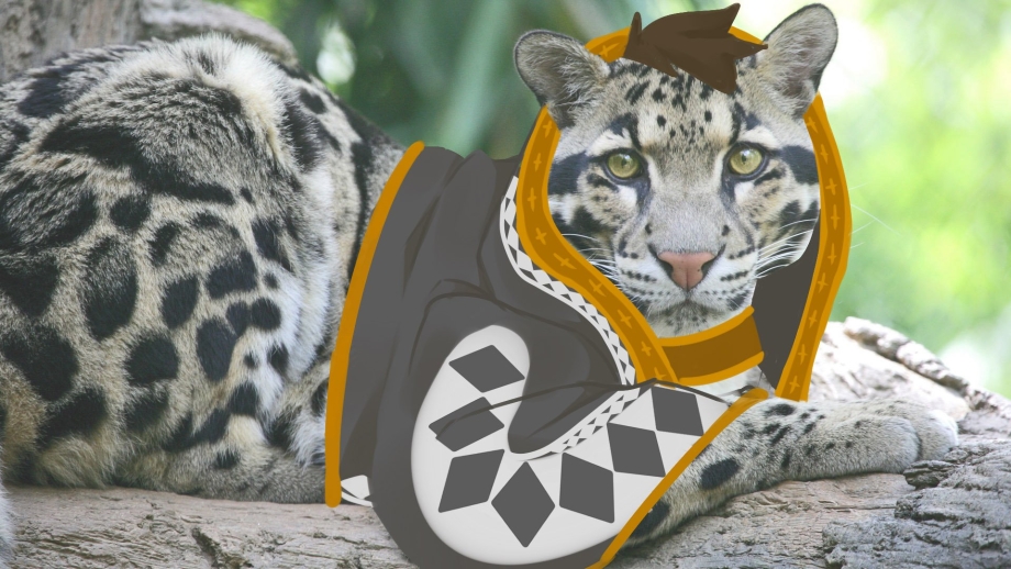 Кот бенгал цветок