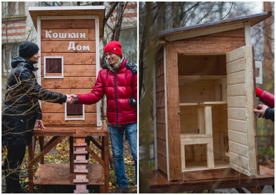 Домики для бездомных кошек в Питере