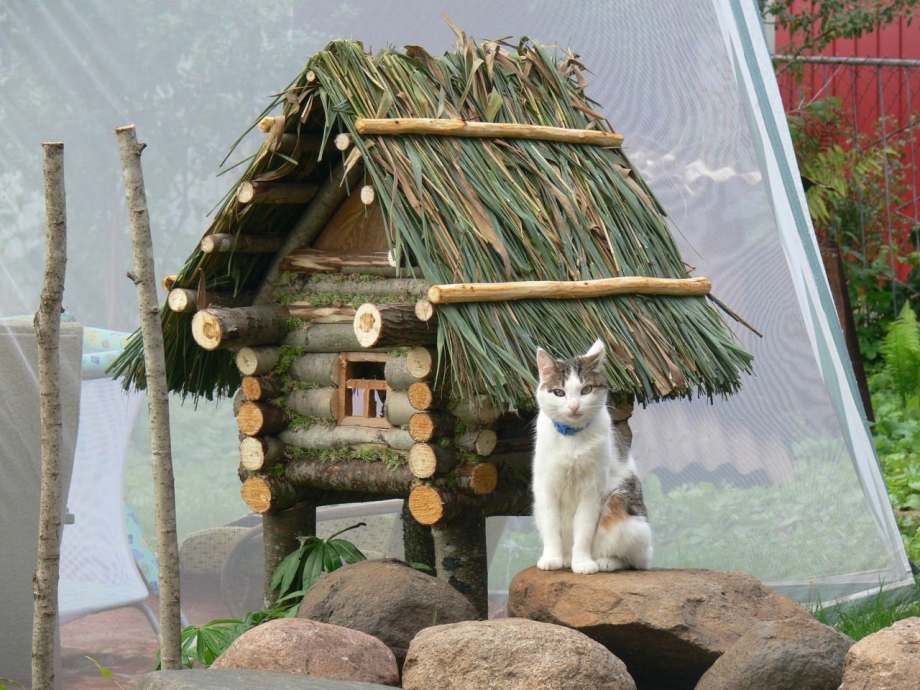 Дачный дэкор кошачий жомик