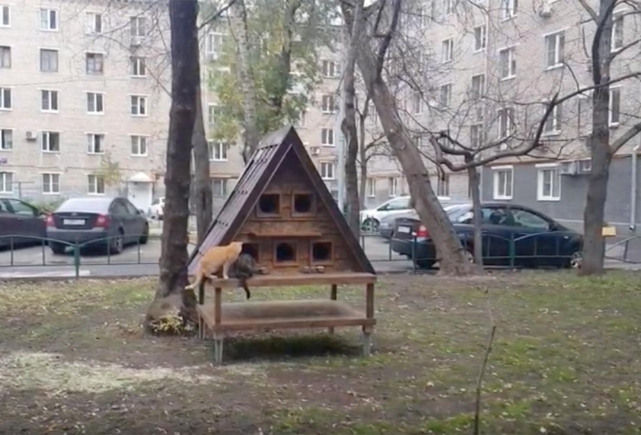Кошкин дом в Московском дворе