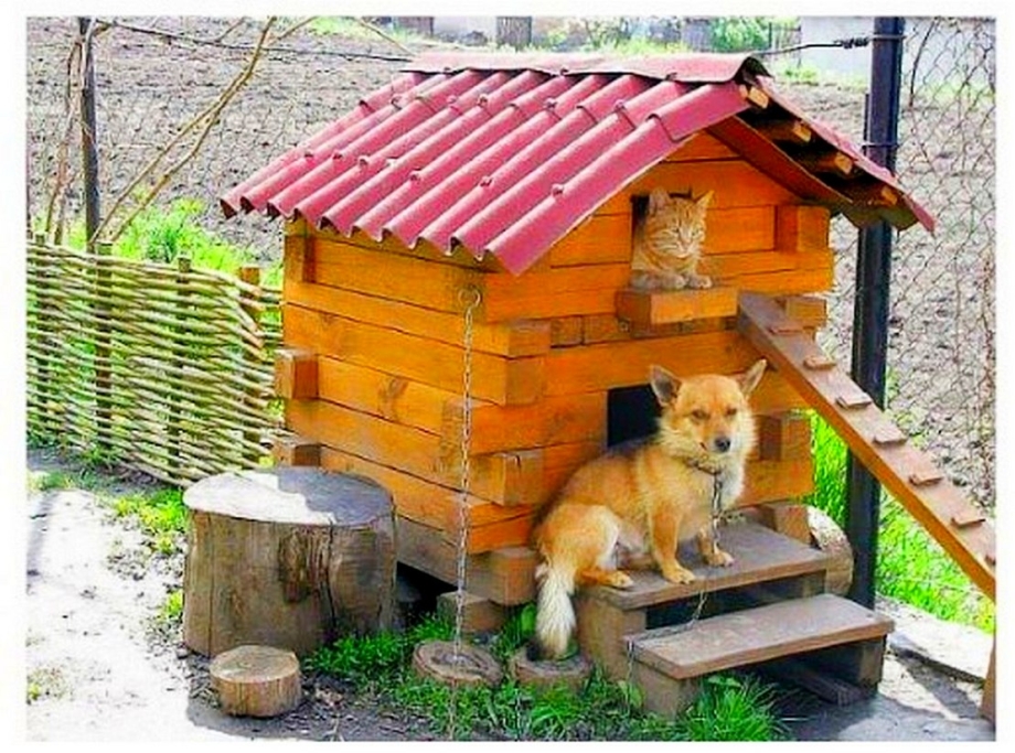 Будка для собаки и кота двухэтажная